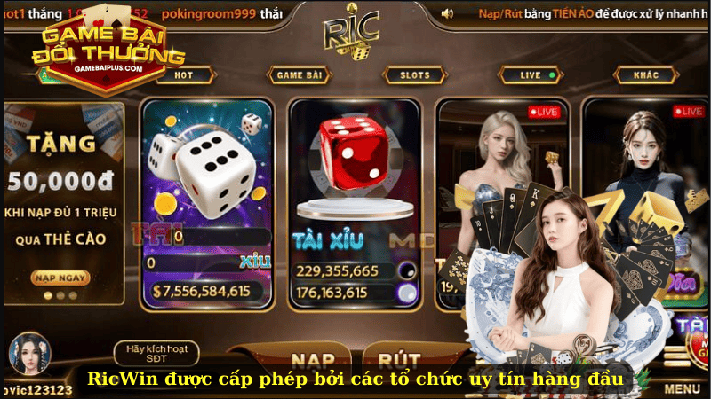 RicWin được cấp phép bởi các tổ chức uy tín hàng đầu