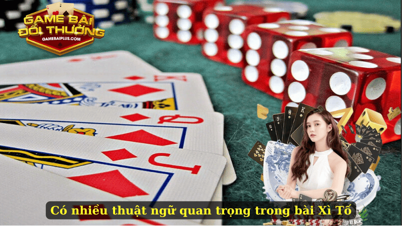 Có nhiều thuật ngữ quan trọng trong bài Xì Tố